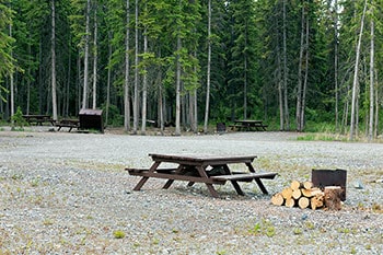 Picnic table in a wooded area