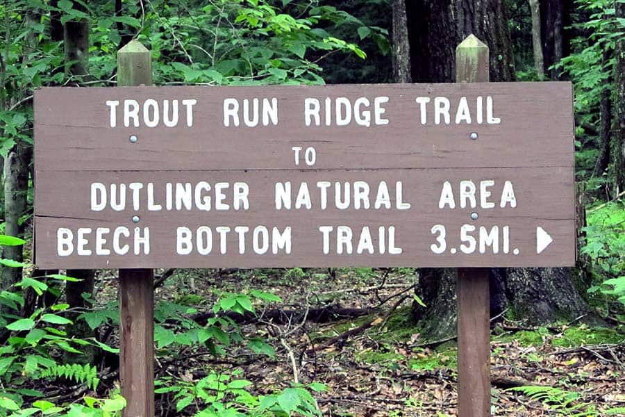 Wooden sign, Trout Run ridge trail