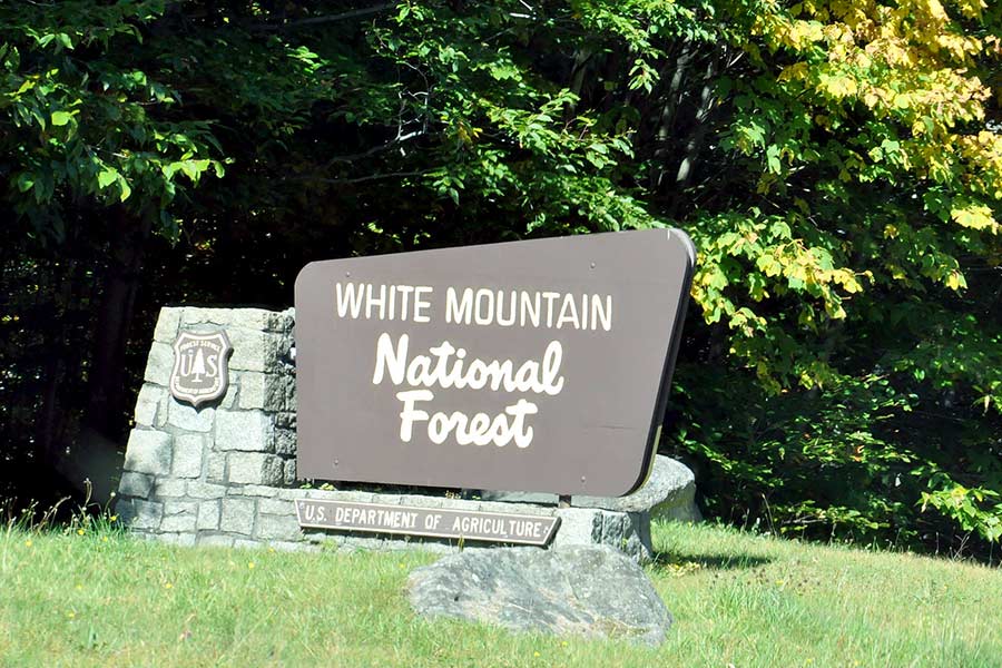White Mountain National Forest sign