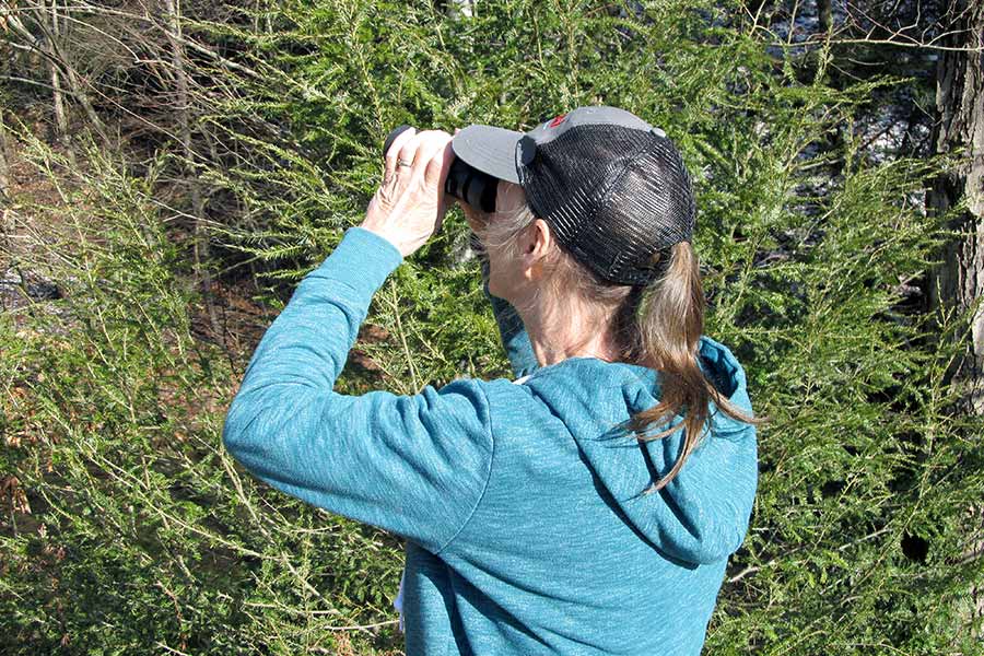 Woman using binoculars to look at bird in tree