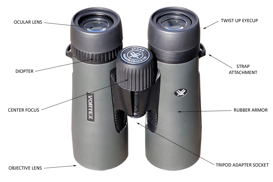 Different parts of a binocular