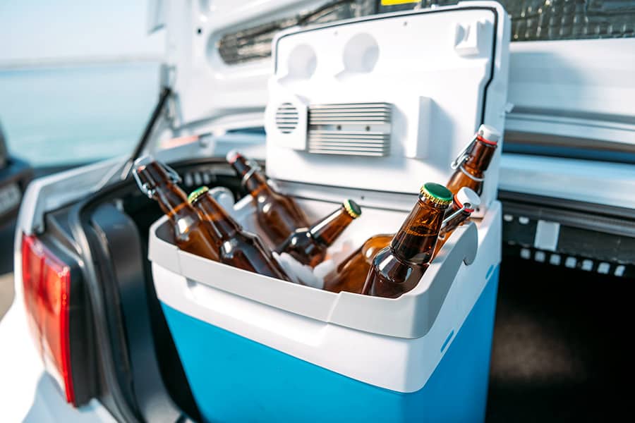 Blue and white portable fridge in trunk of a car