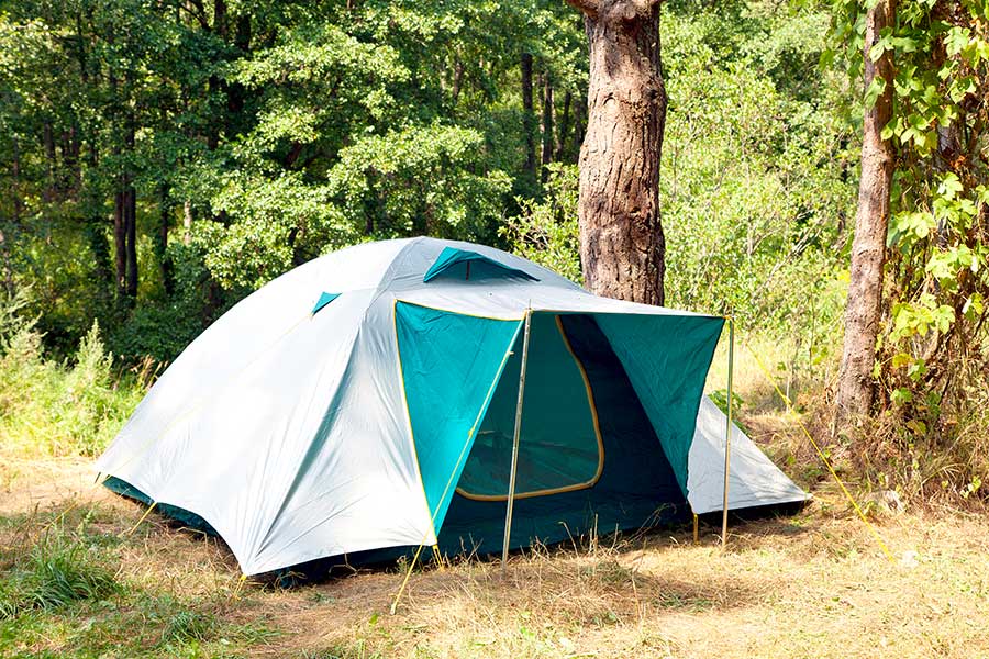 Green and white tent pitched in woods