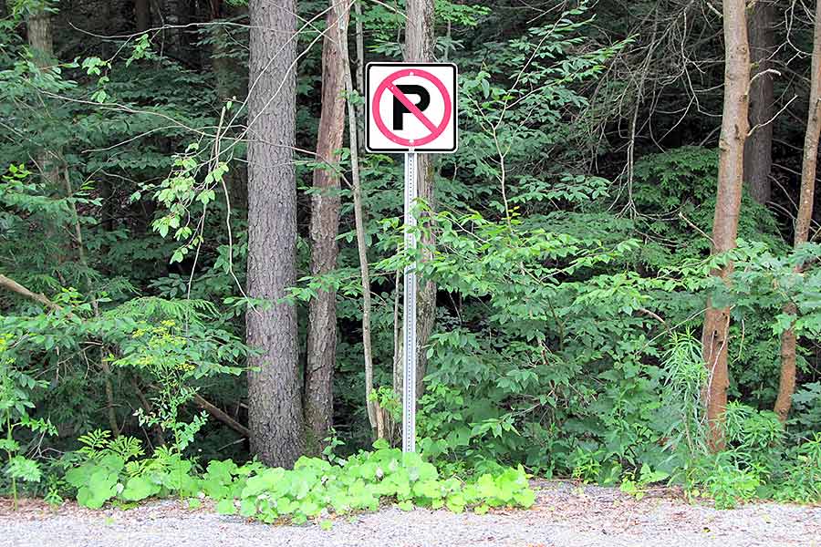 No parking sign with woods in background