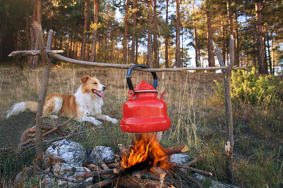 Red kettle hanging over campfire with dog laying nearby