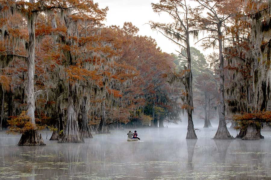 Couple people paddling canoe underneath bald cypress trees in Caddo Lake