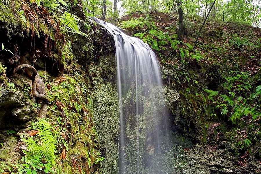 Waterfall at Falling Waters State Park