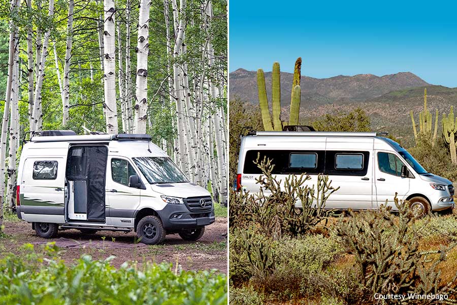 On the left, a camper van parked in the woods, on the right, a camper van parked in front of cactus