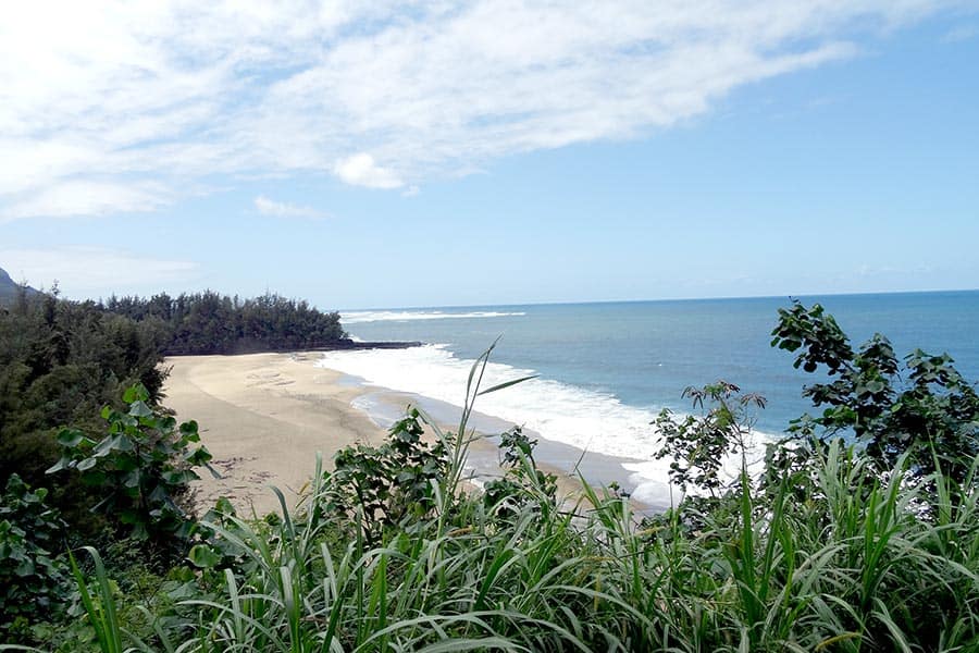Hawaiian beach with green vegetation in foreground