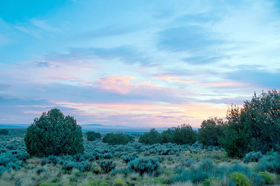 Arizona landscape