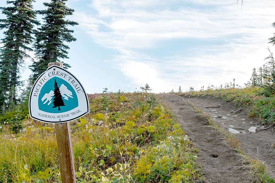 Pacific Crest Trail worn down to dirt from hikers