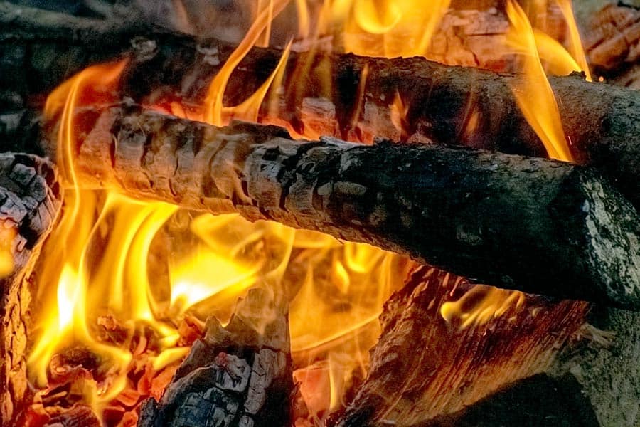 Close view of wood burning in campfire