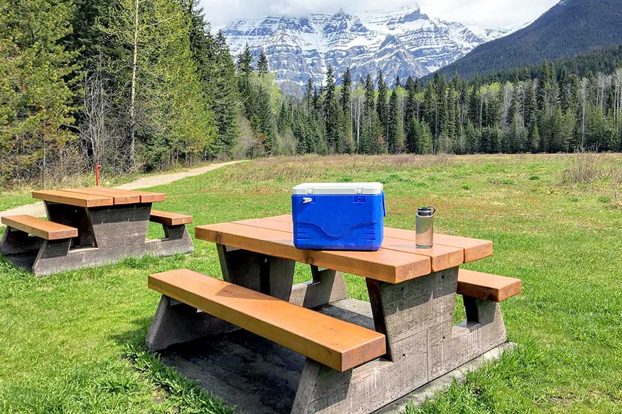 Blue cooler sitting on picnic table in mountain meadow