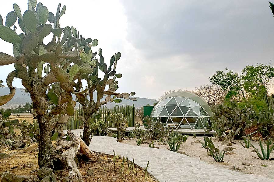 Geodesic glamping dome surrounded by cactus plants