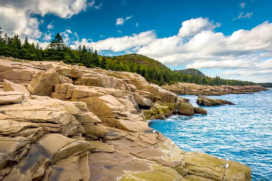 Otter Cliffs in Acadia National Park, Maine