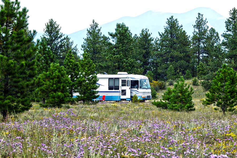 RV parked in a meadow surrounded by wildflowers