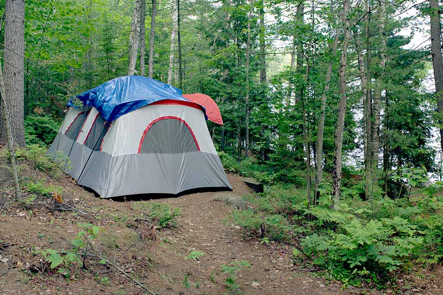 Wooded camp site in the Adirondack Mountains