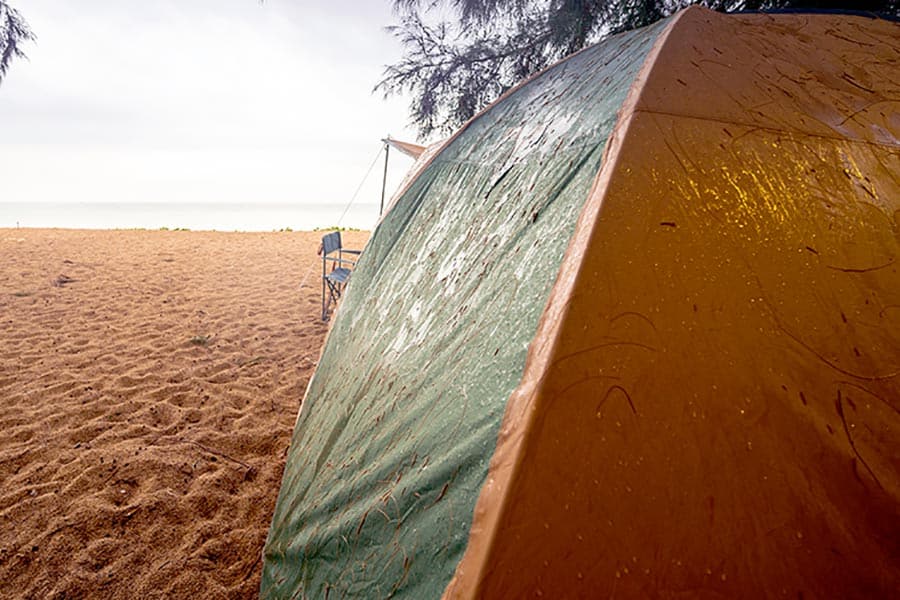 Brown tent pitched on sandy beach under trees
