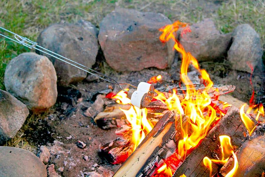 Toasting marshmallows over campfire