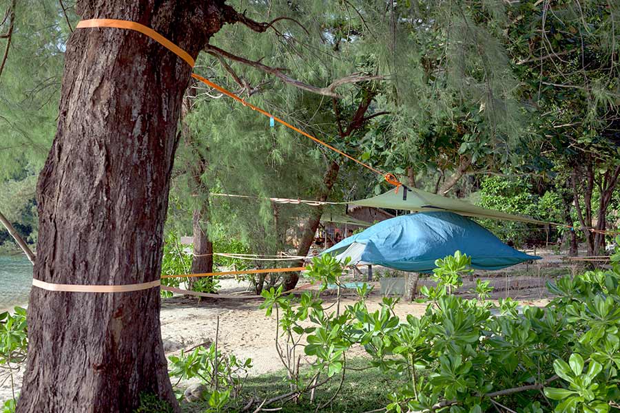 Tree tent hanging between trees at beach