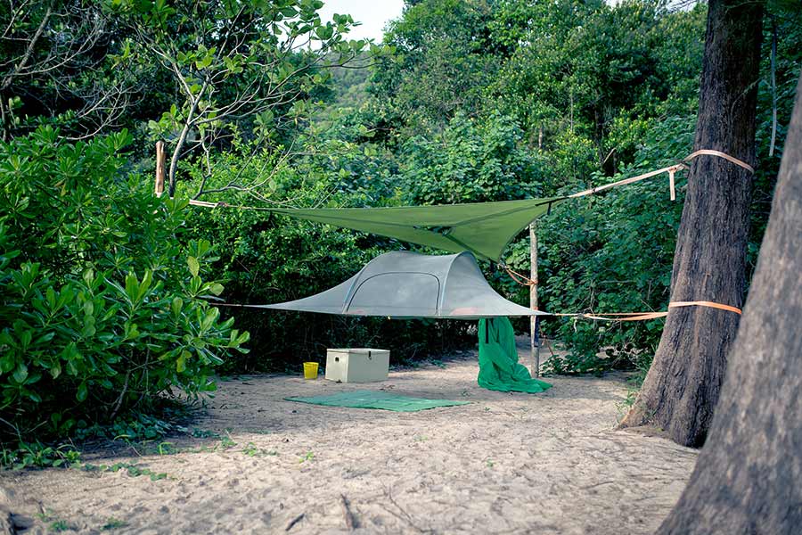 Tree tent hanging between trees