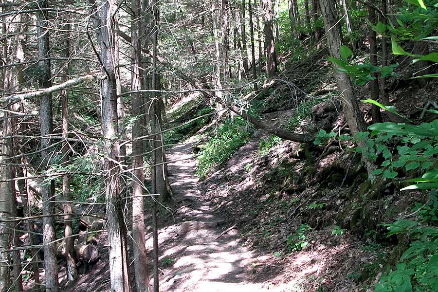 Hiking trail through mountain forest
