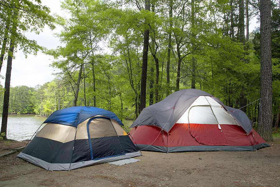Two tents pitched under the shade of trees