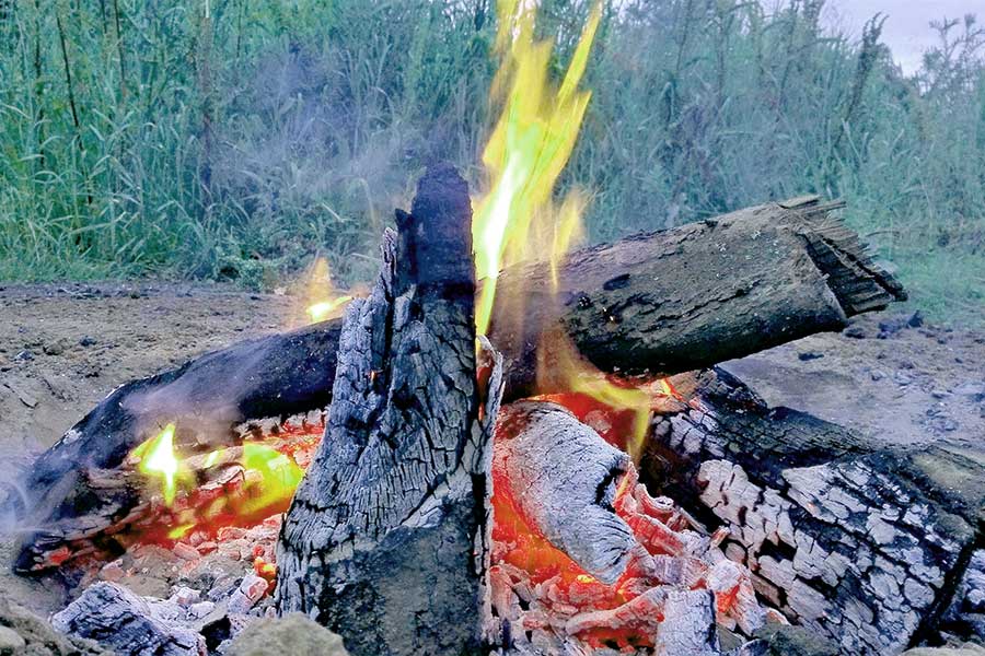 Close view of wood burning in campfire