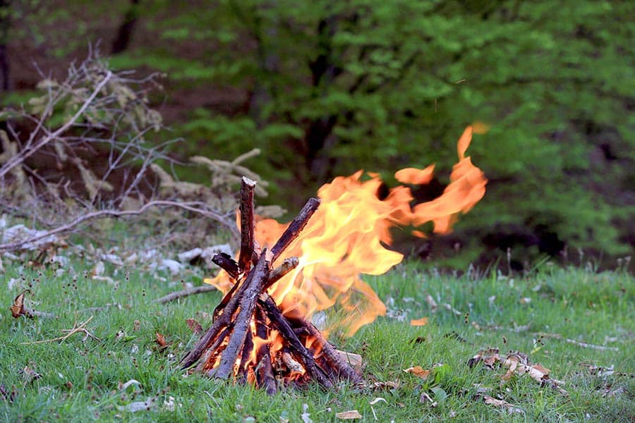 Campfire in grassy meadow