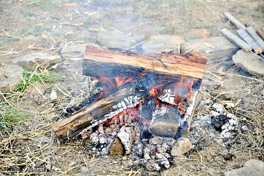 Campfire in the forest