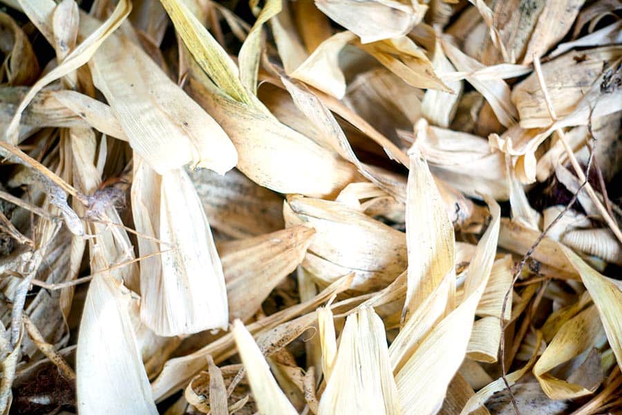 Pile of dried corn husks