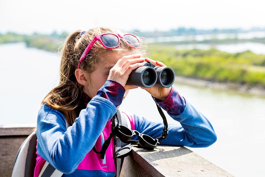 Girl looking through binoculars at birds