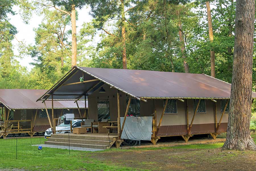 Glamping campground in forest