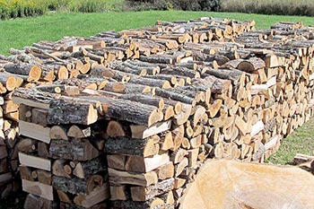 Firewood piled in rows