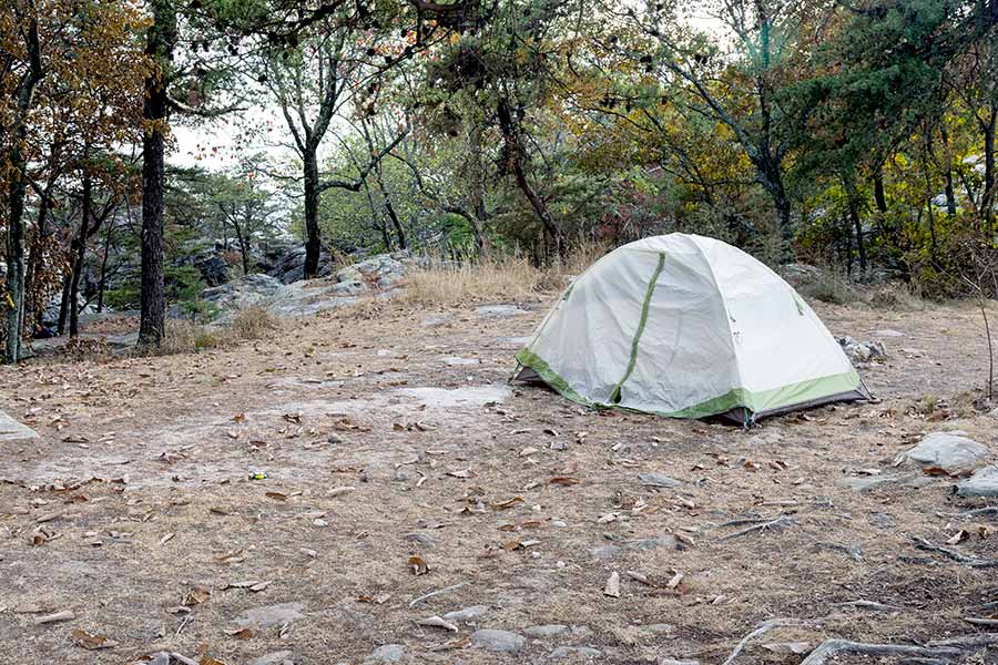 Tent pitched in a clearing in the forest